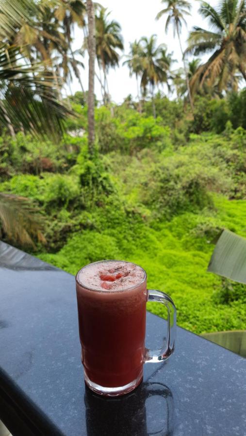 Tropical Wave Hostel Morjim Goa Zewnętrze zdjęcie