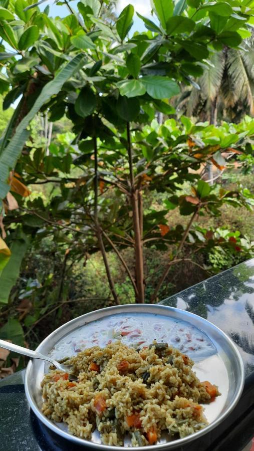 Tropical Wave Hostel Morjim Goa Zewnętrze zdjęcie